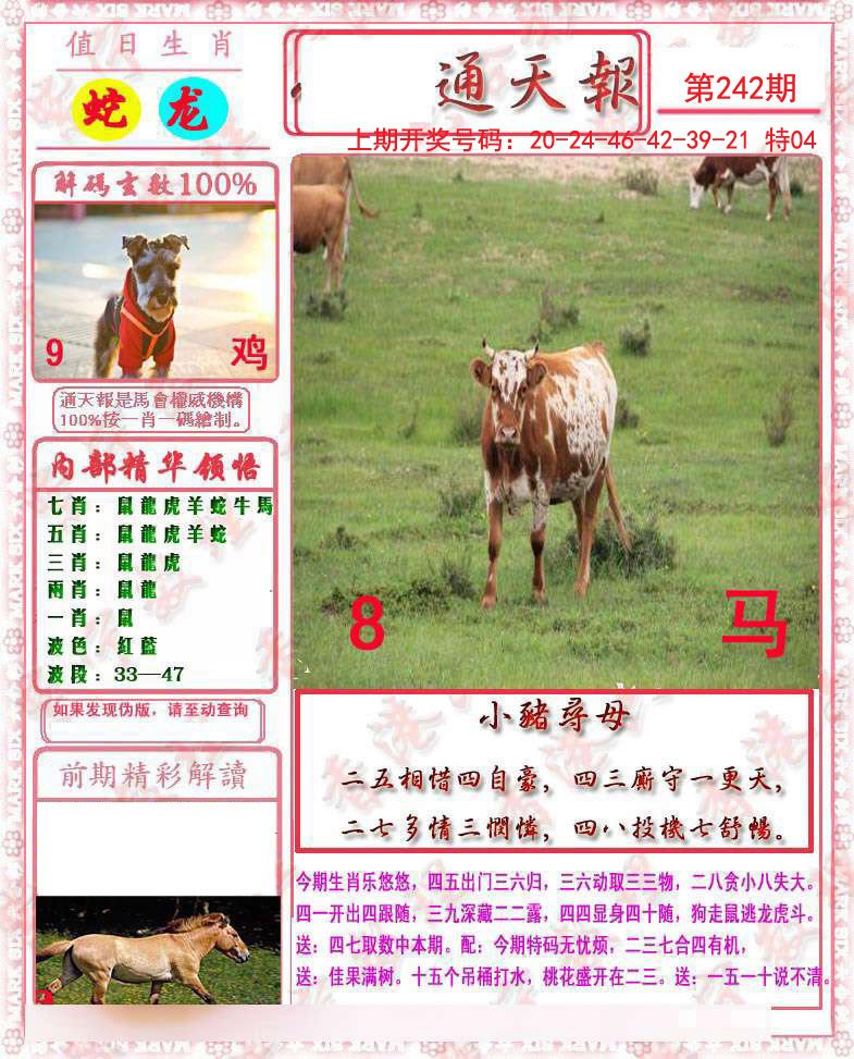 2024242期马经通天报