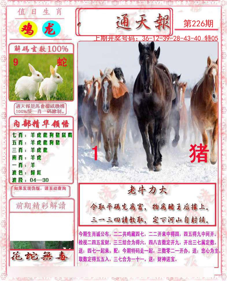 2024226期马经通天报