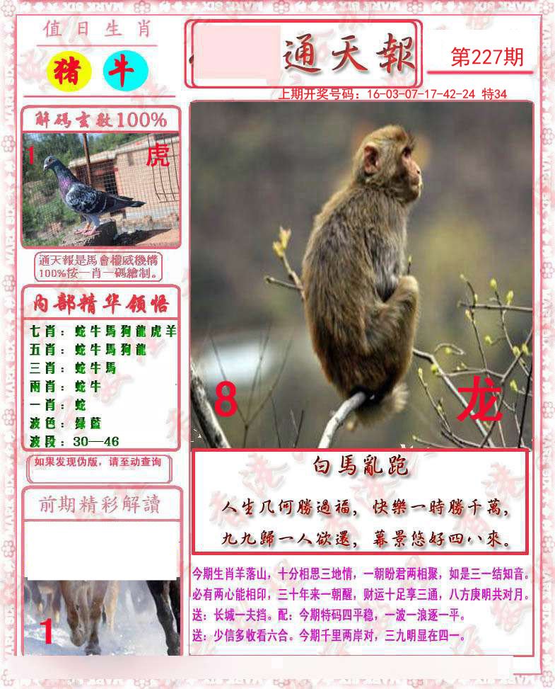 2024227期马经通天报