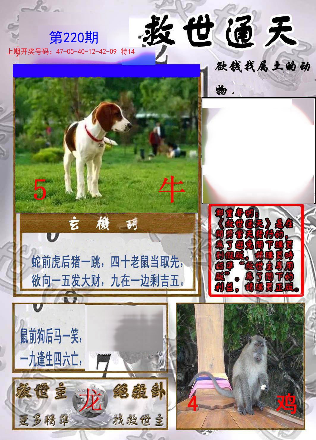 2024220期救世通天报