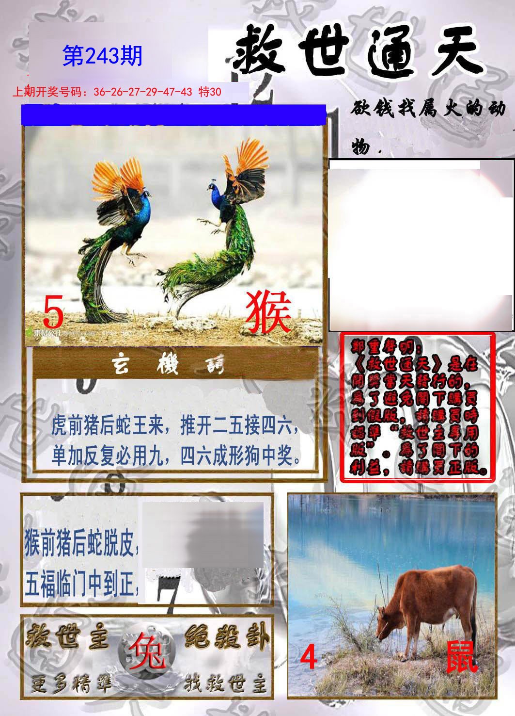 2024243期救世通天报
