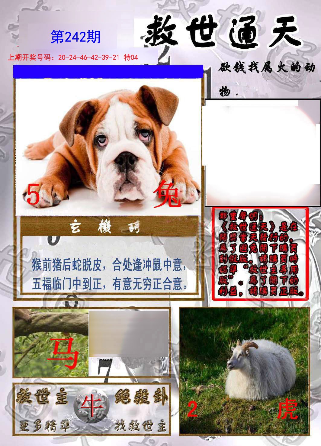 2024242期救世通天报