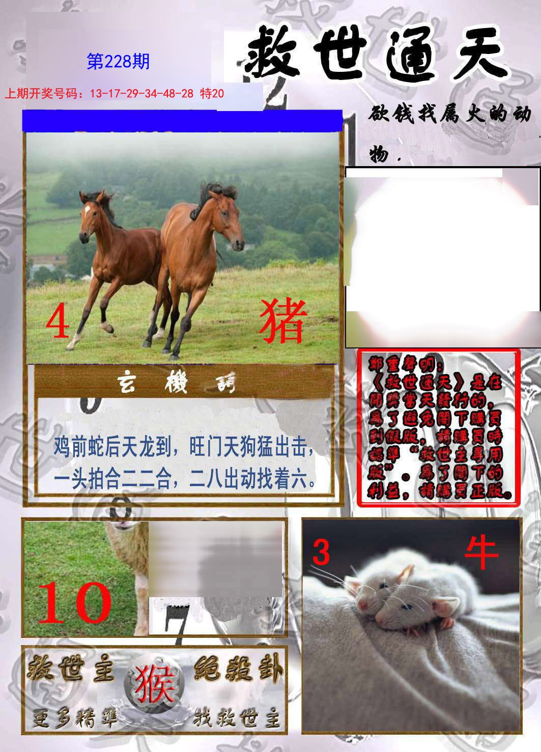 2024228期救世通天报