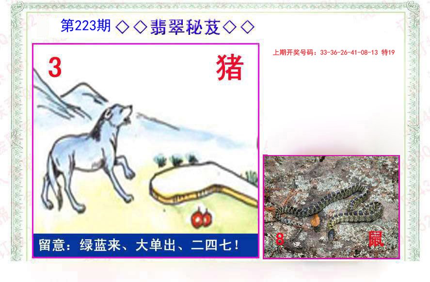 2024223期翡翠报