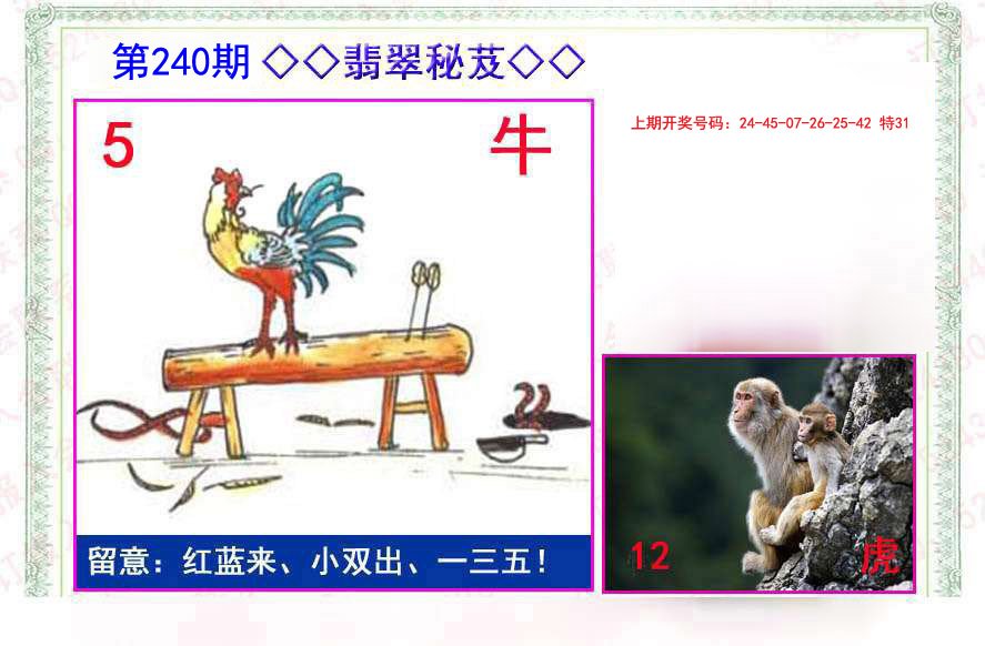 2024240期翡翠报