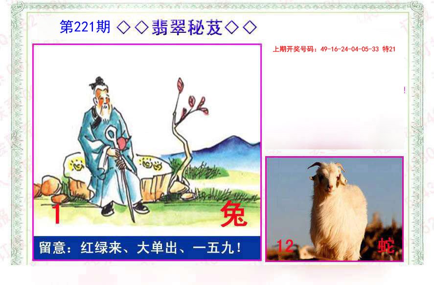 2024221期翡翠报