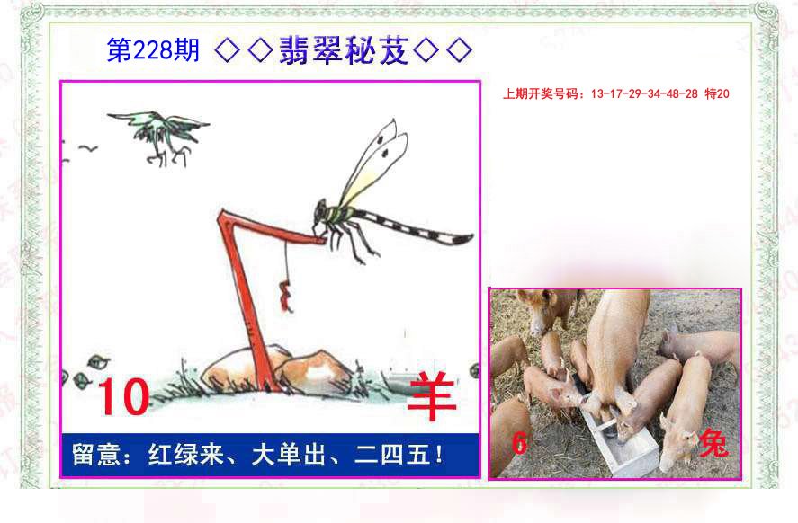 2024228期翡翠报