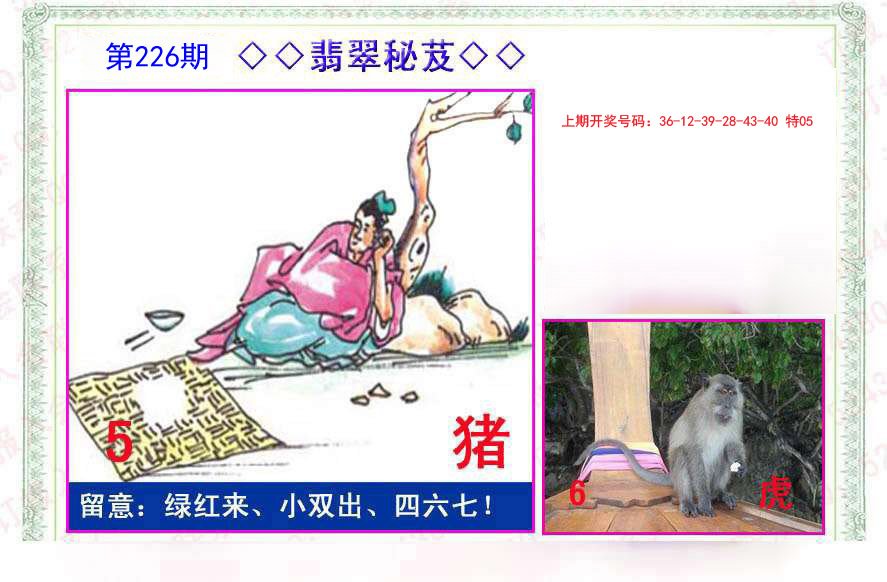 2024226期翡翠报