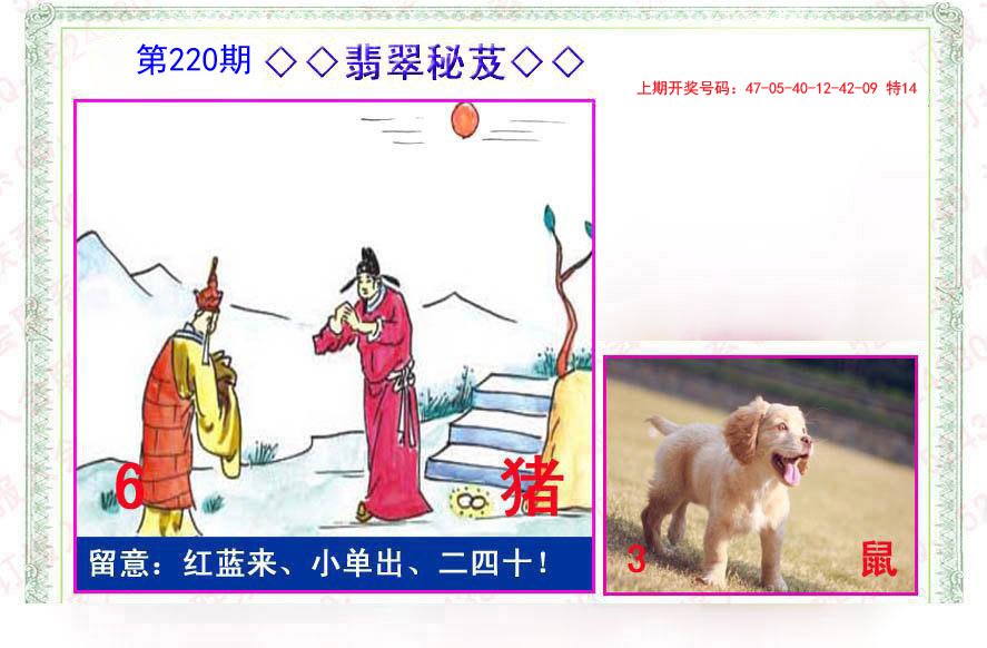2024220期翡翠报