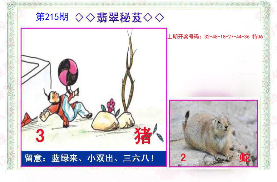 2024215期翡翠报