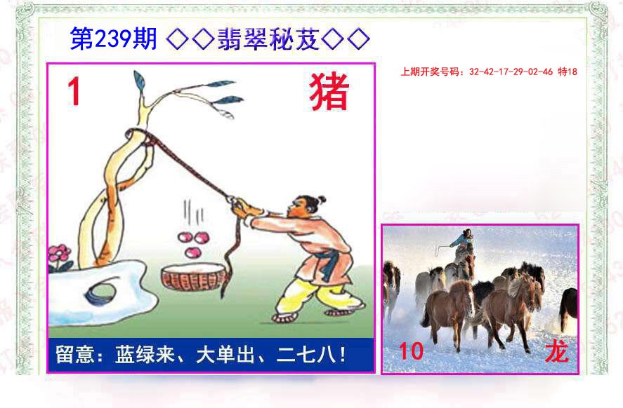 2024239期翡翠报