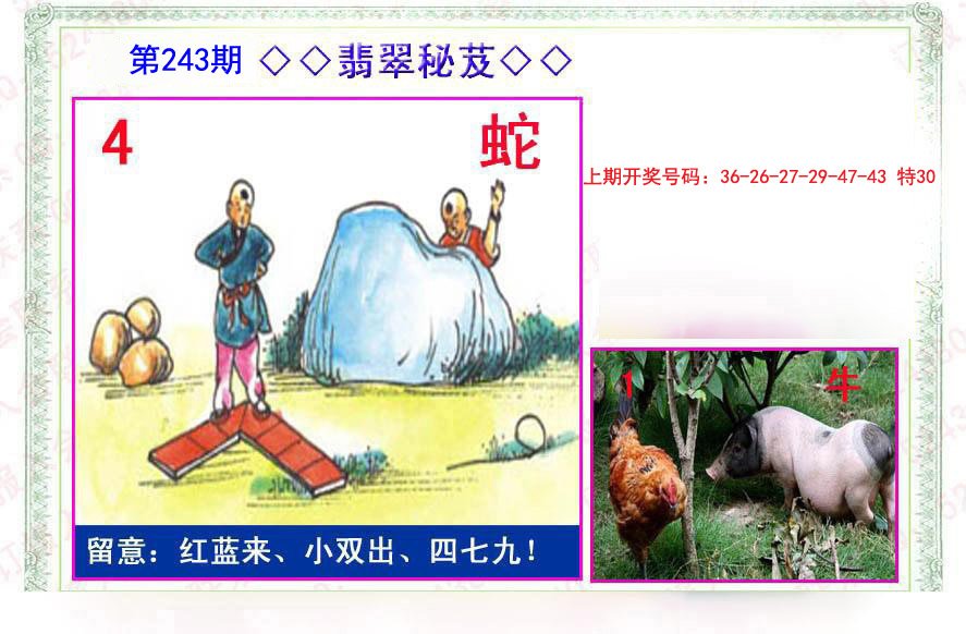 2024243期翡翠报