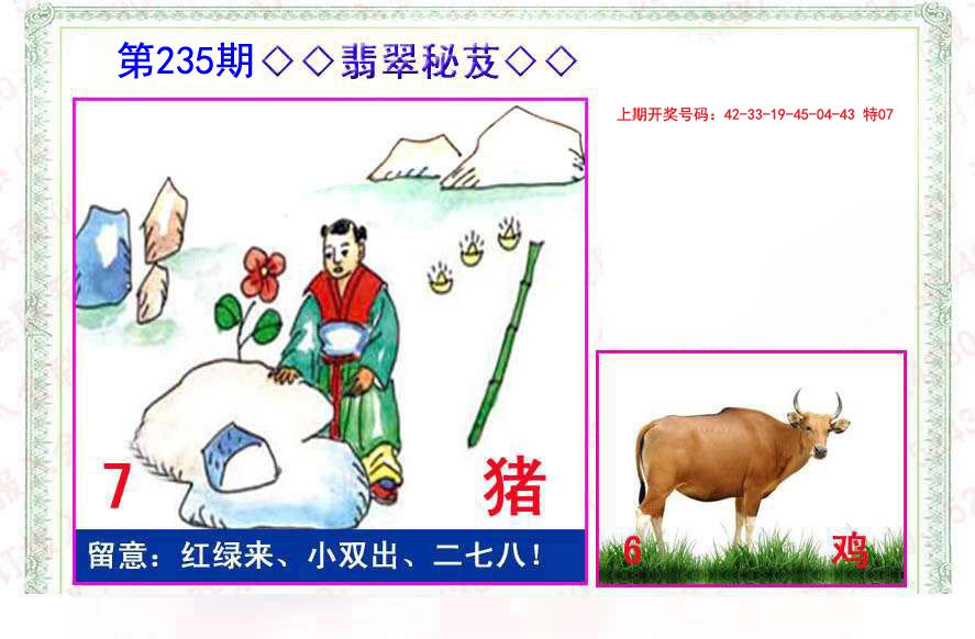 2024235期翡翠报