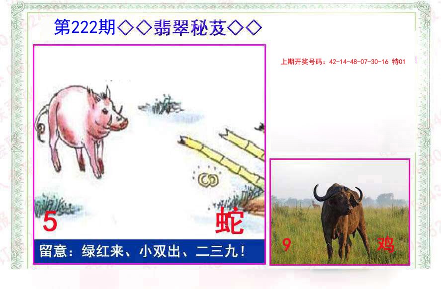 2024222期翡翠报