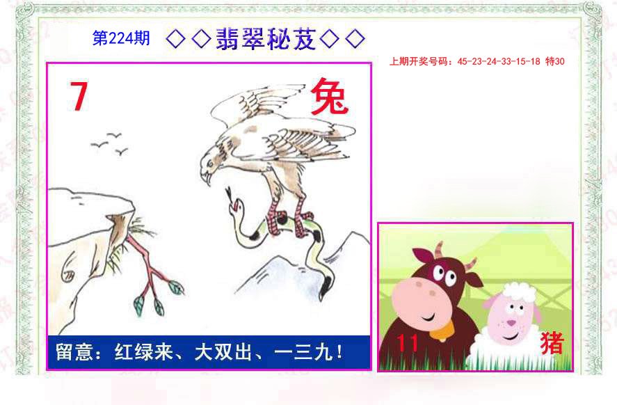 2024224期翡翠报