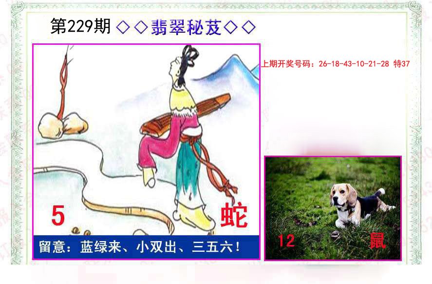 2024229期翡翠报