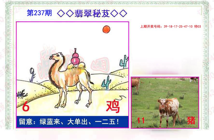 2024237期翡翠报