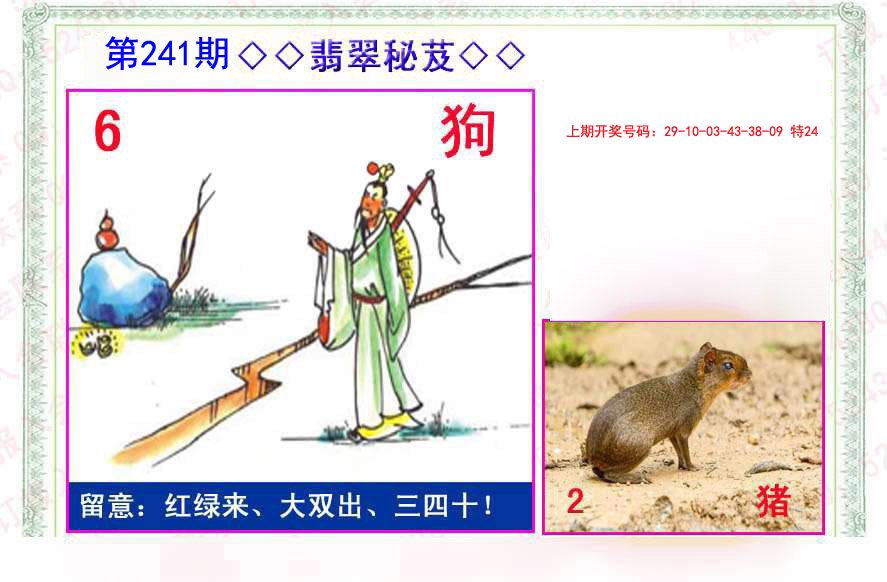 2024241期翡翠报