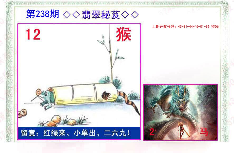 2024238期翡翠报