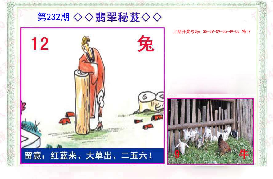 2024232期翡翠报