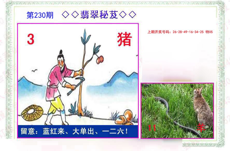2024230期翡翠报