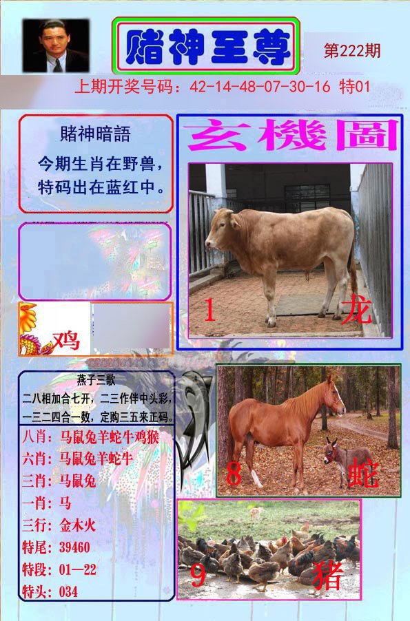 2024222期赌神至尊