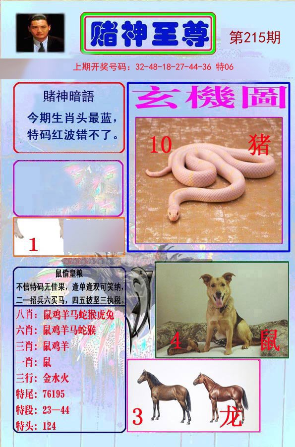 2024215期赌神至尊