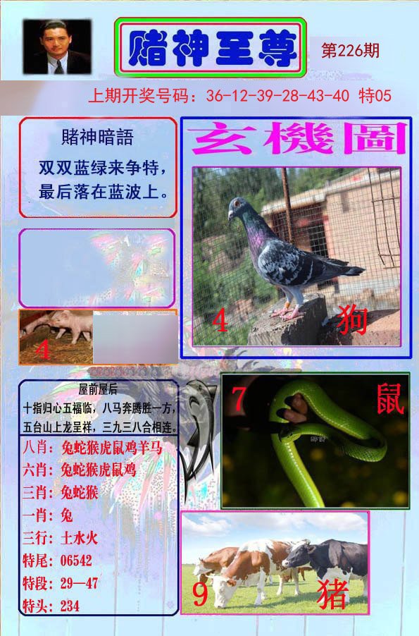 2024226期赌神至尊
