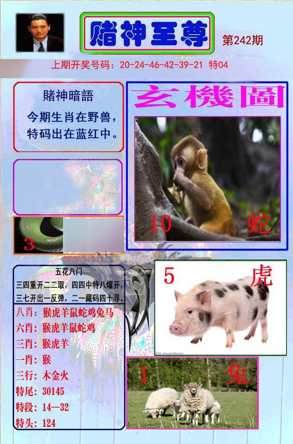 2024242期赌神至尊