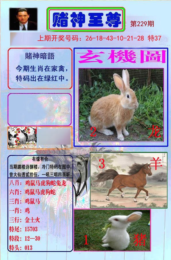 2024229期赌神至尊