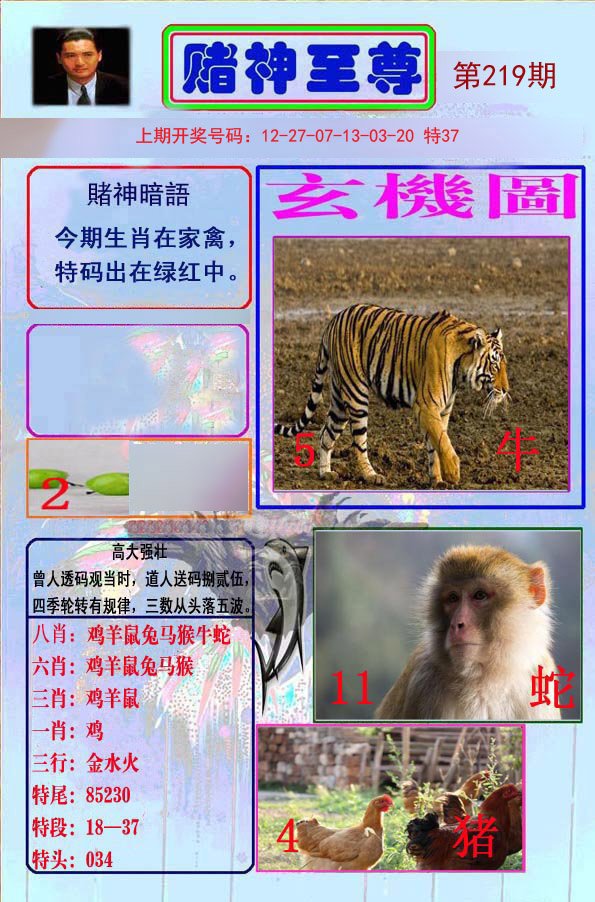 2024219期赌神至尊