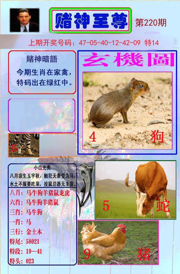 2024220期赌神至尊