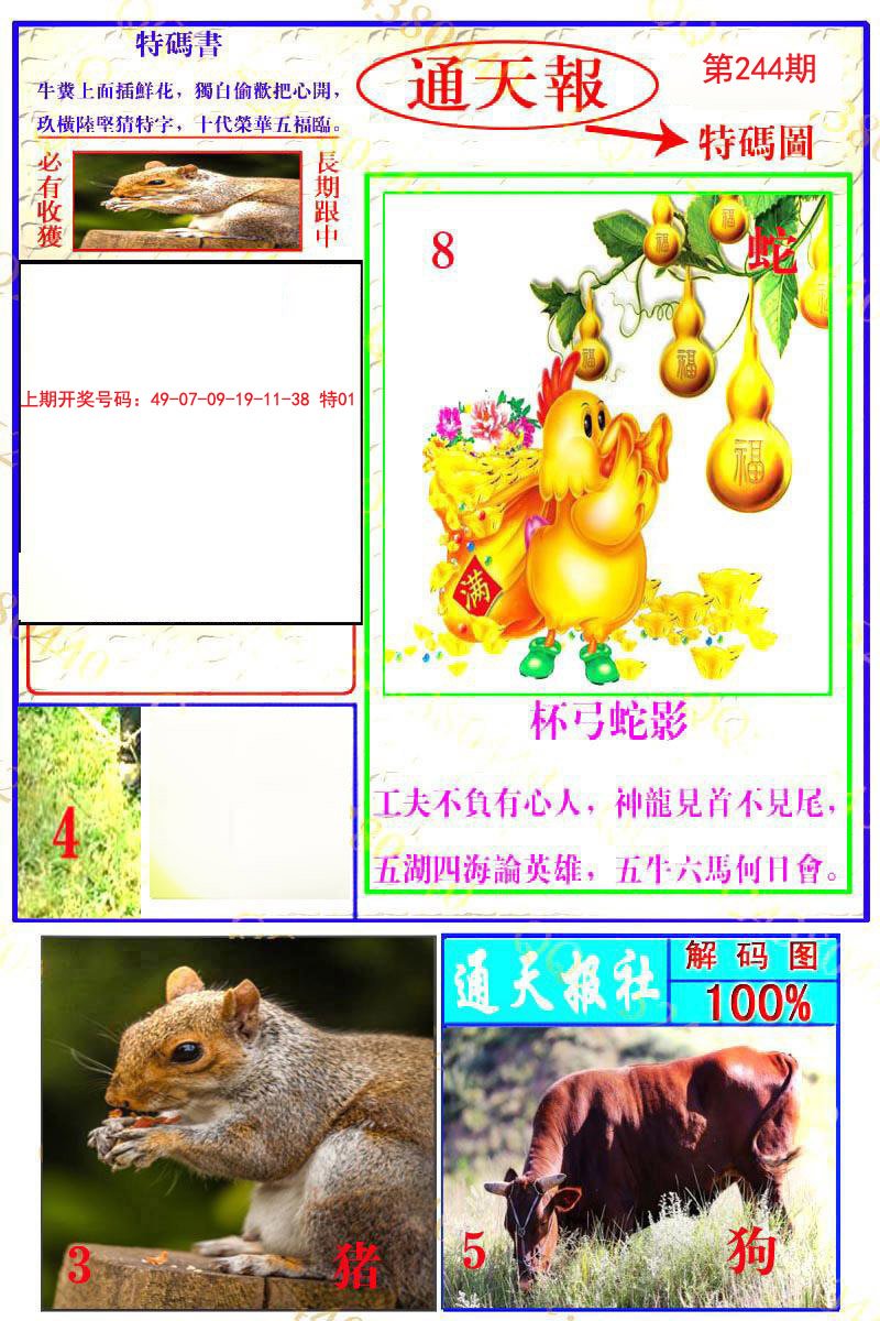 2024244期通天特解图