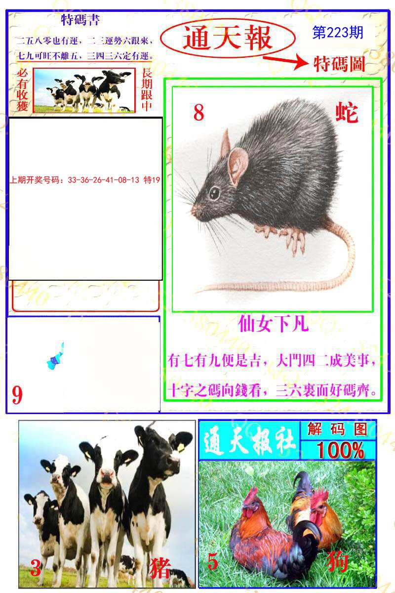 2024223期通天特解图