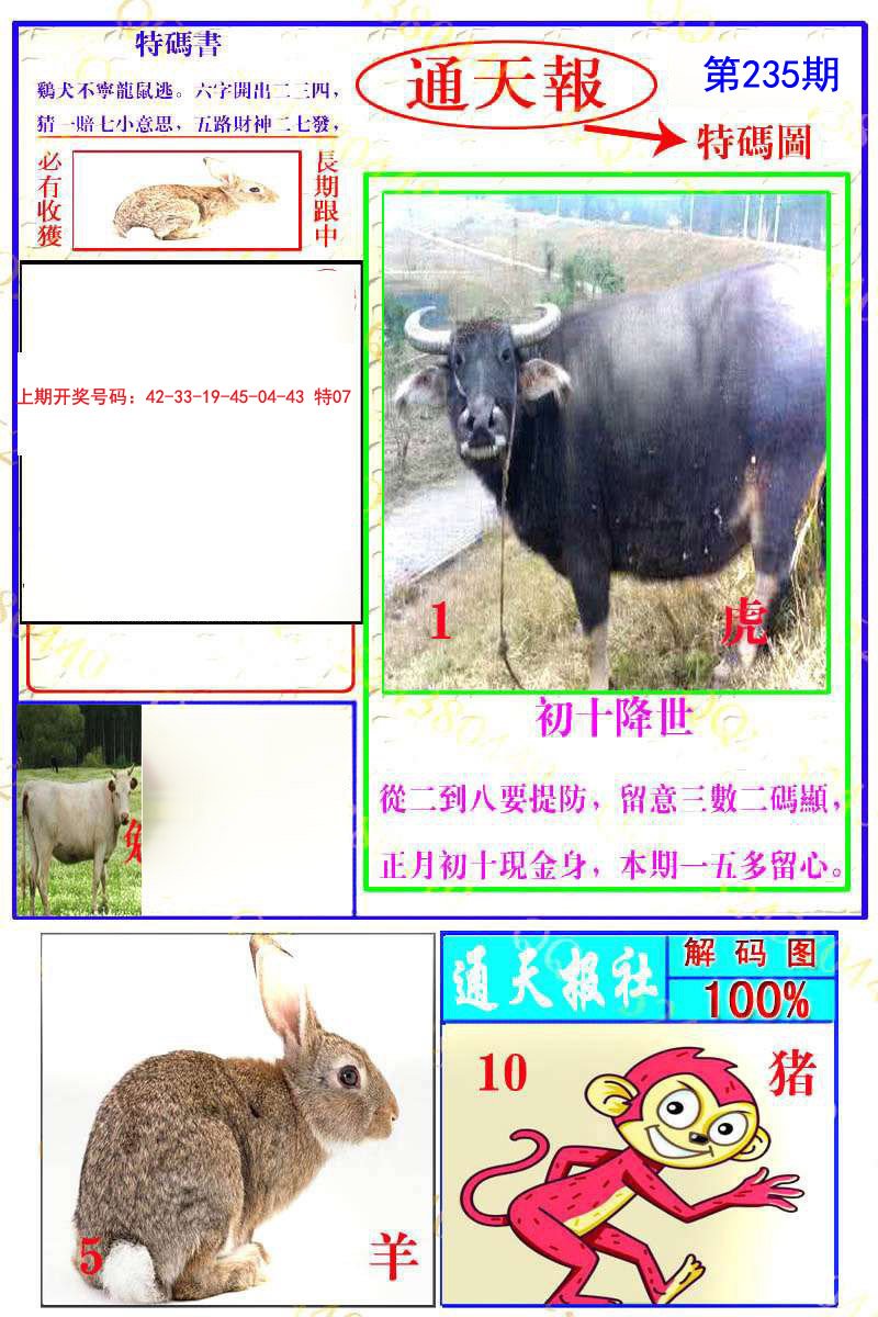 2024235期通天特解图