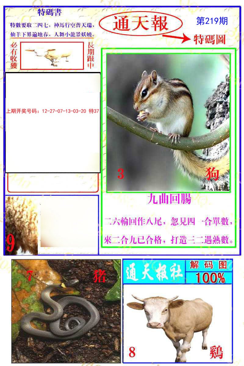 2024219期通天特解图