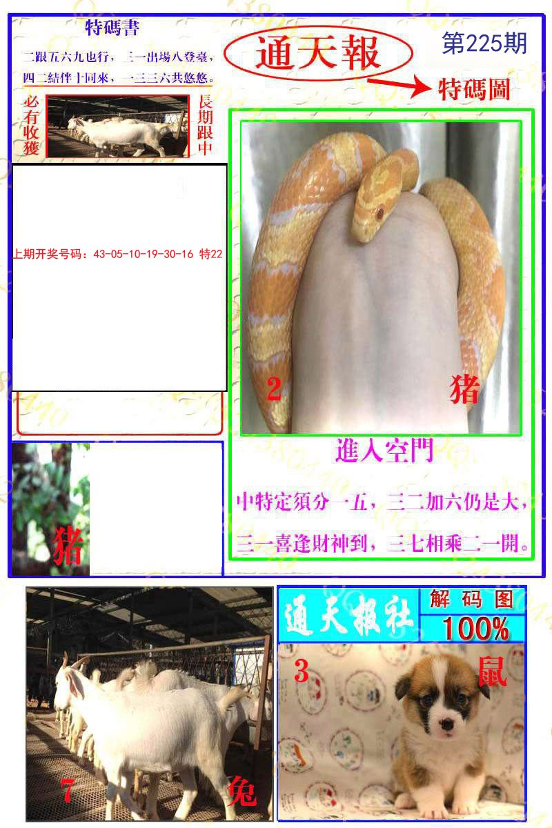2024225期通天特解图