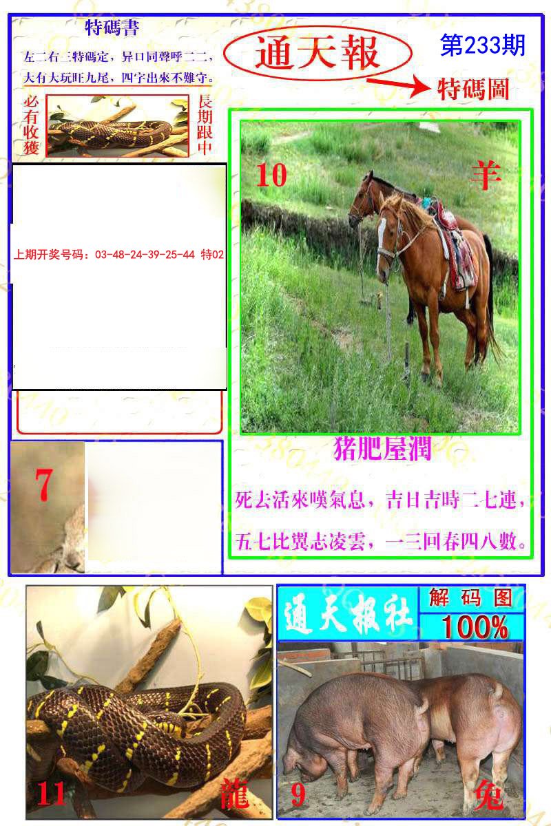 2024233期通天特解图