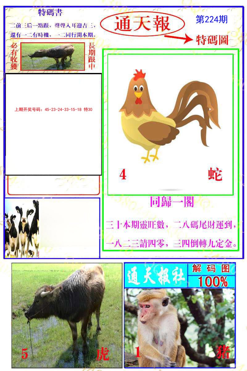 2024224期通天特解图