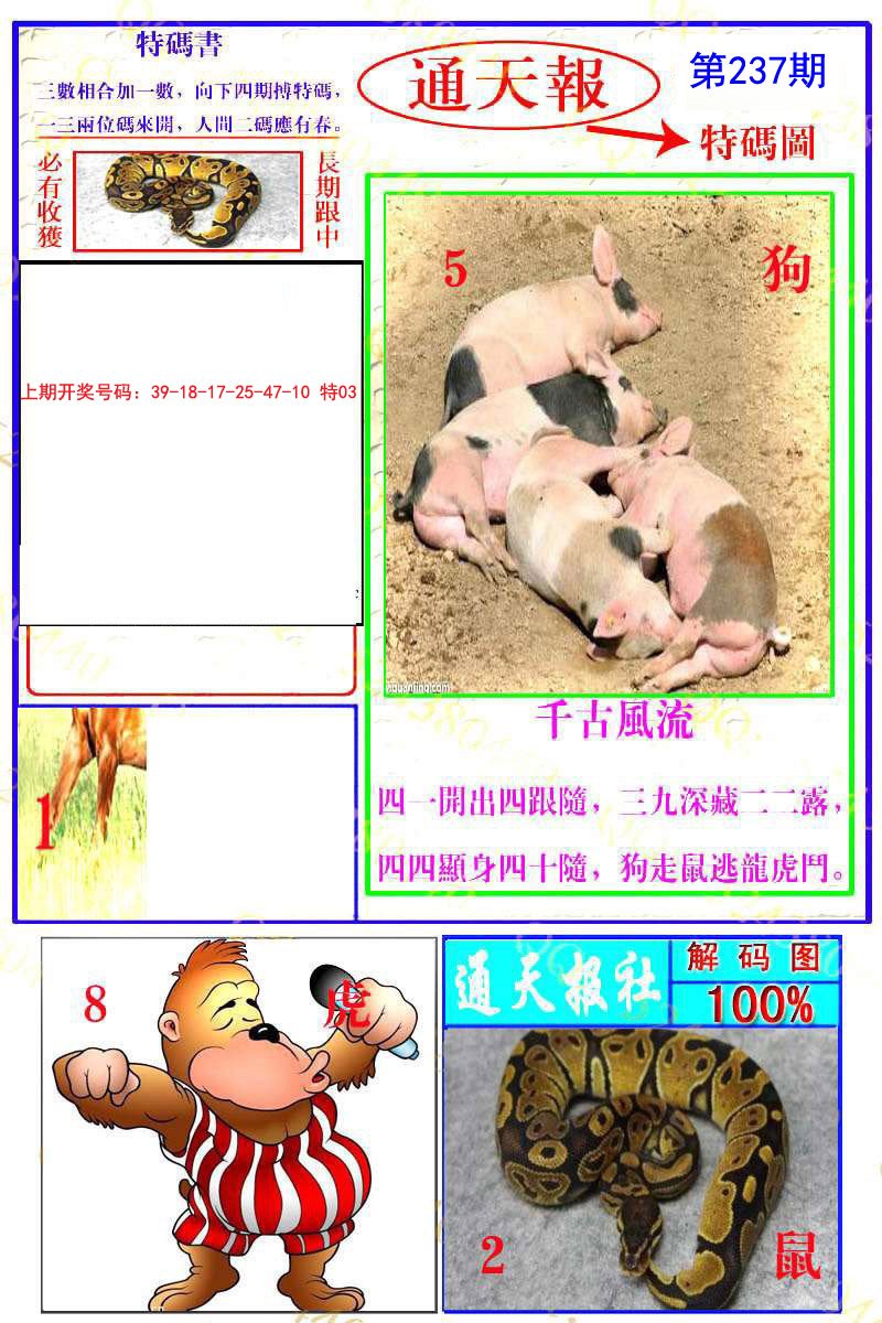 2024237期通天特解图