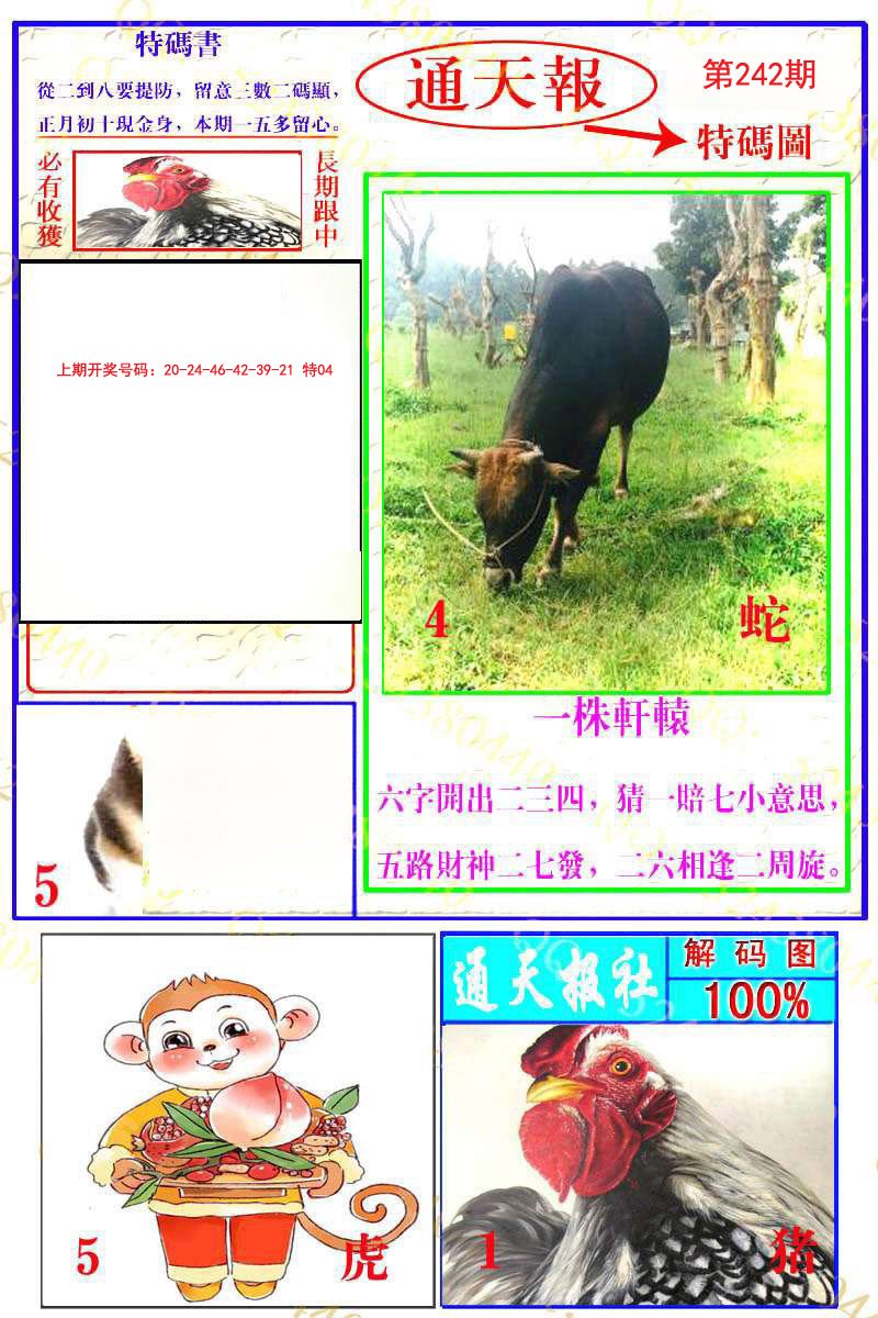 2024242期通天特解图
