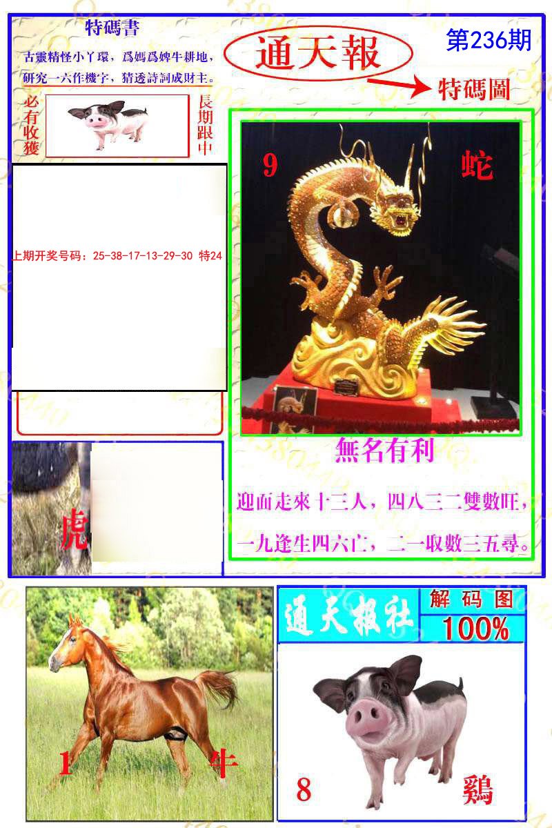 2024236期通天特解图