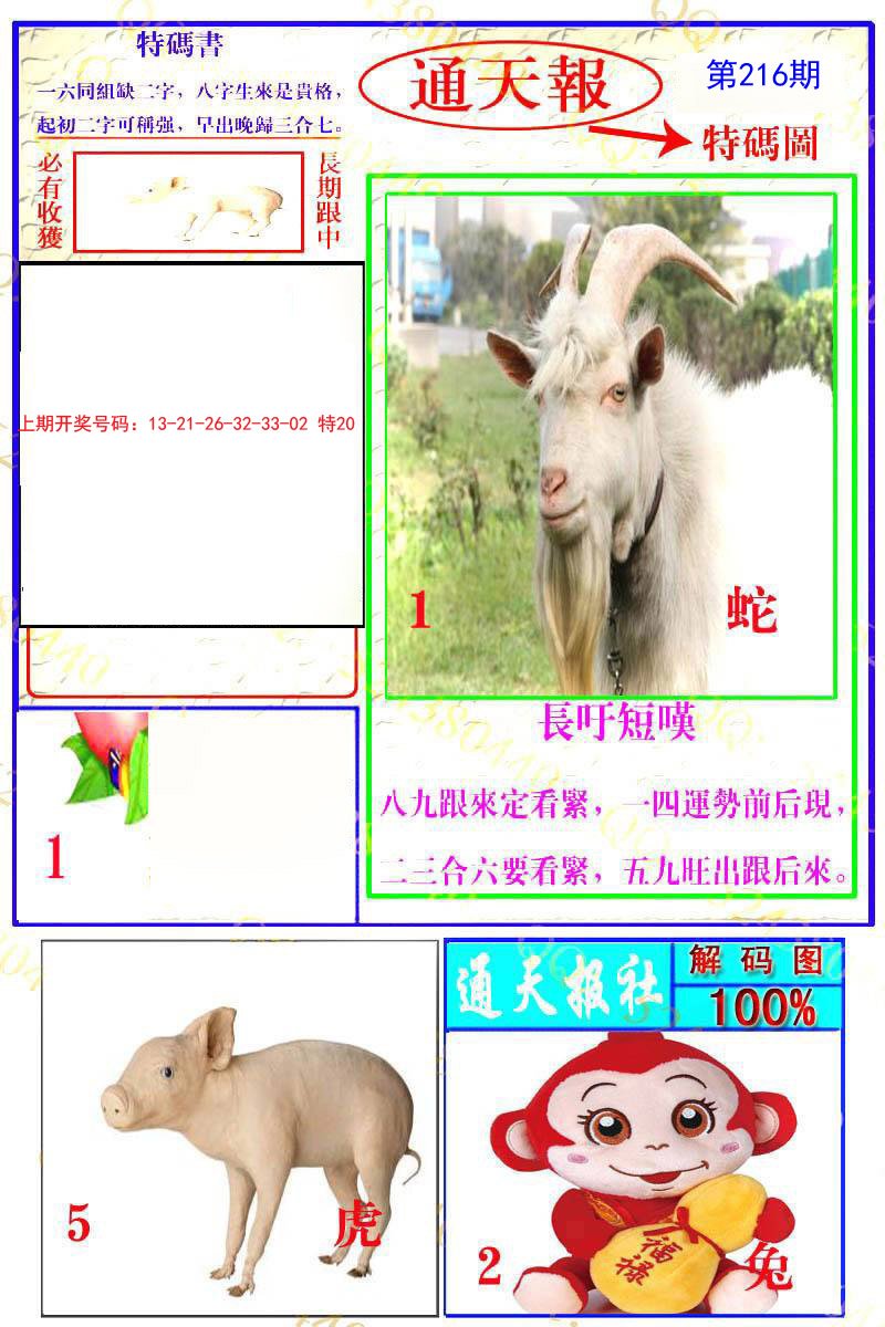2024216期通天特解图