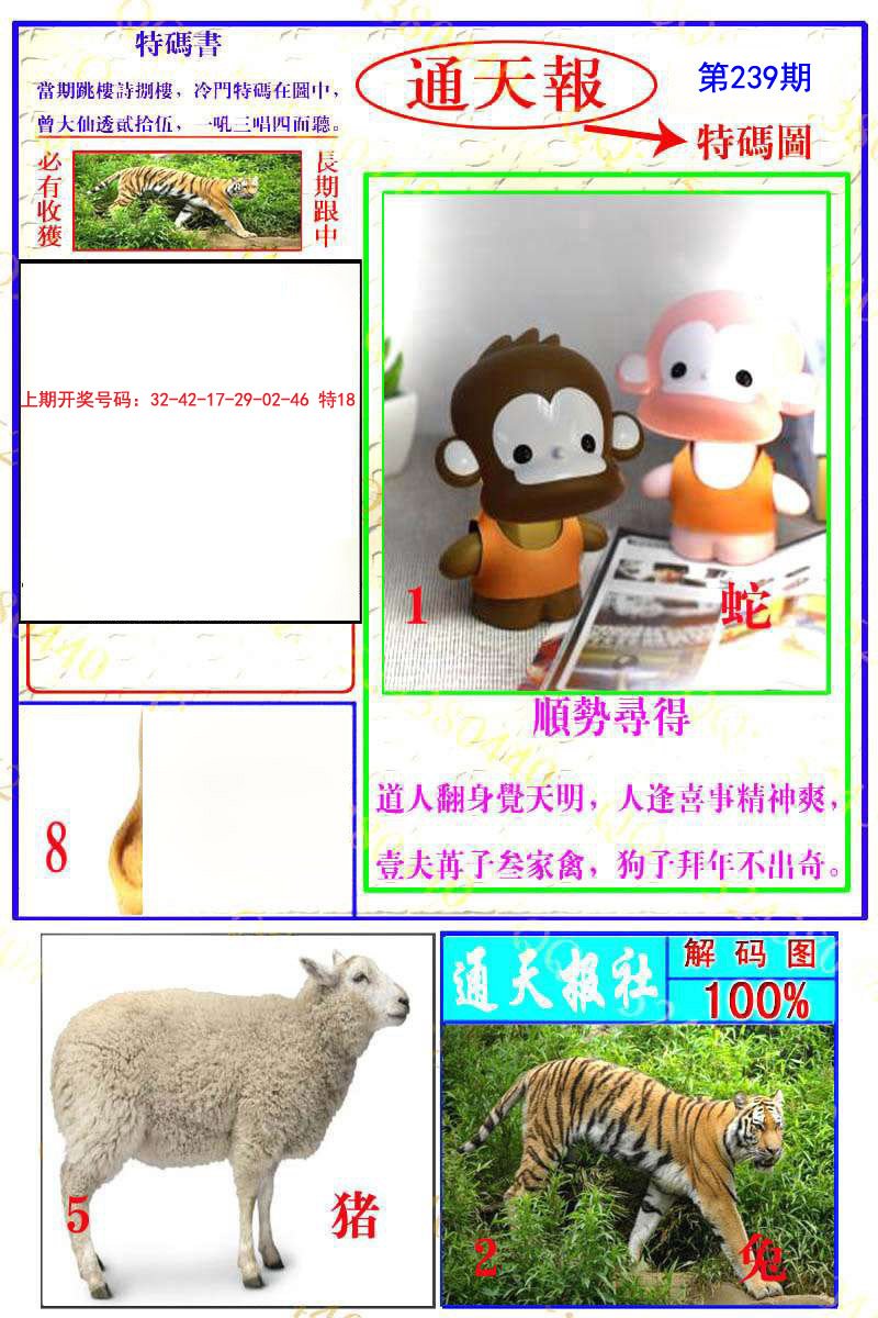 2024239期通天特解图