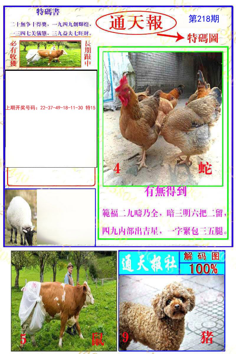 2024218期通天特解图