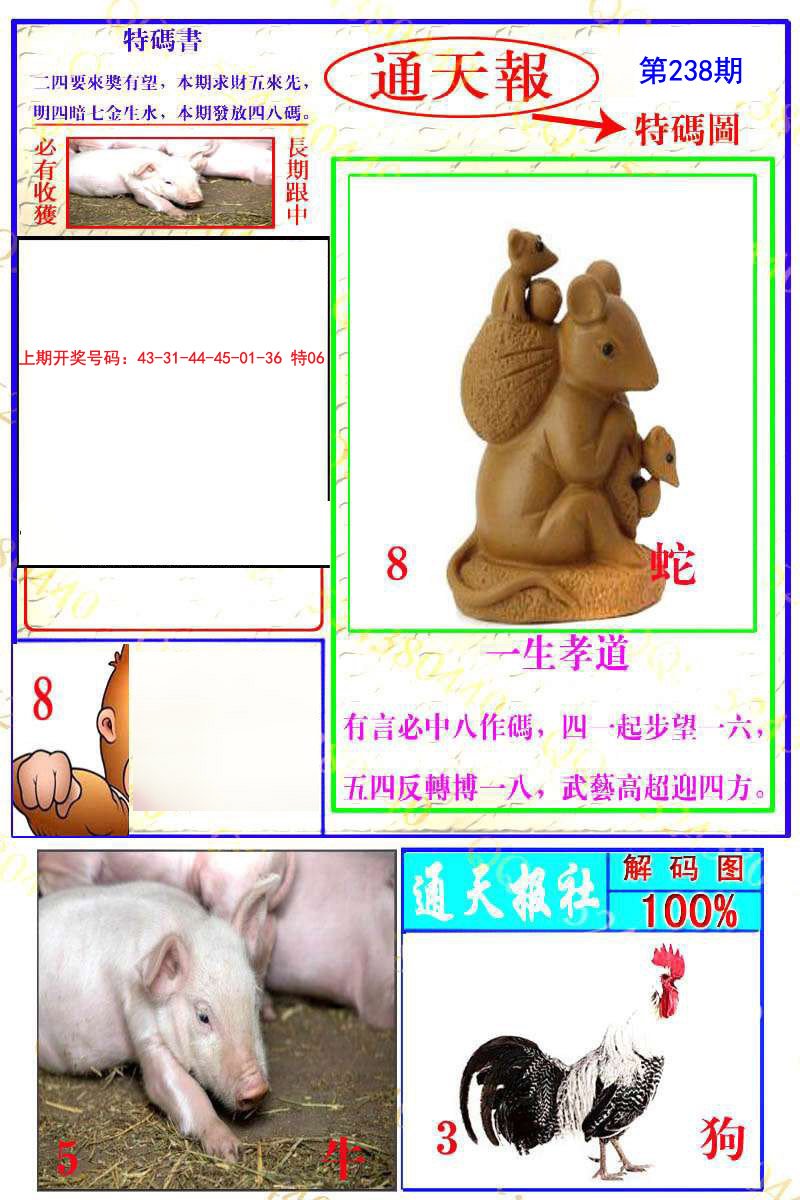2024238期通天特解图
