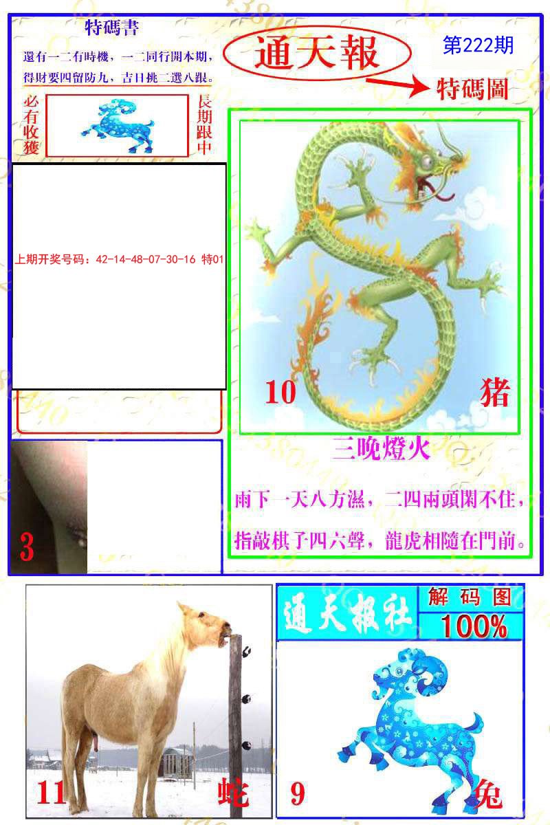 2024222期通天特解图