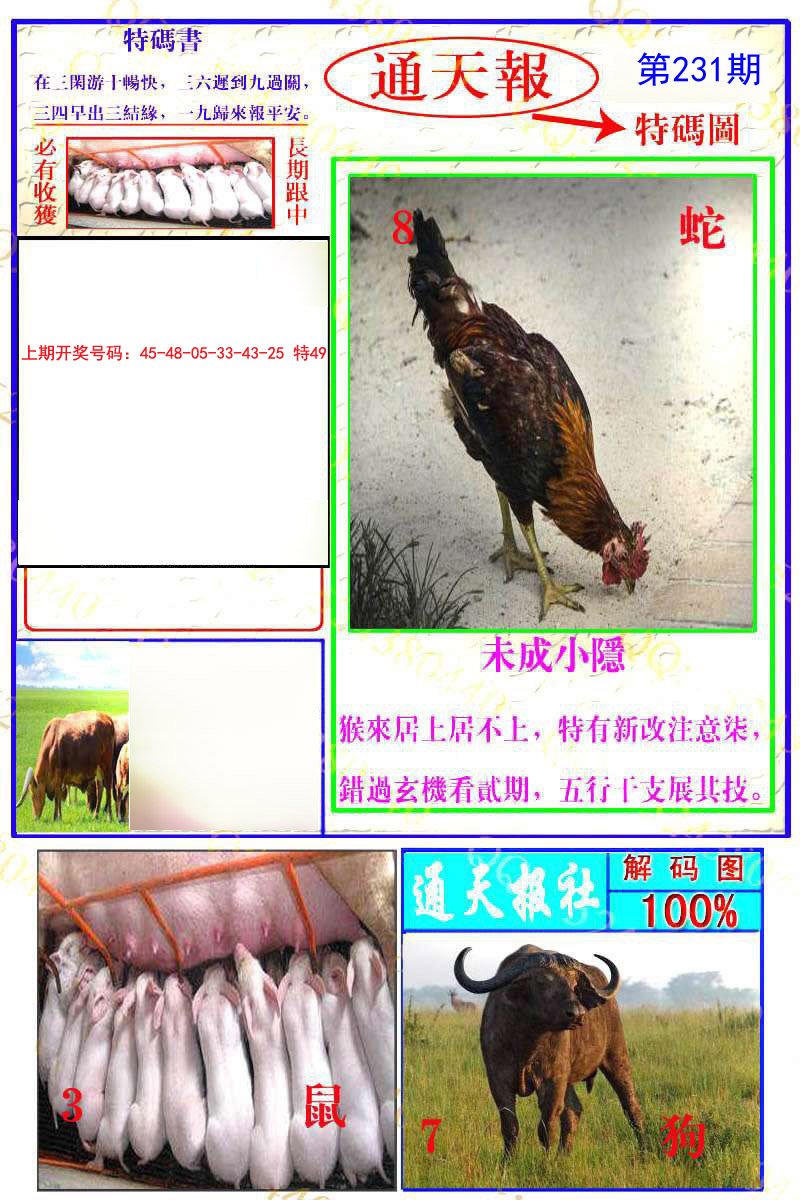 2024231期通天特解图