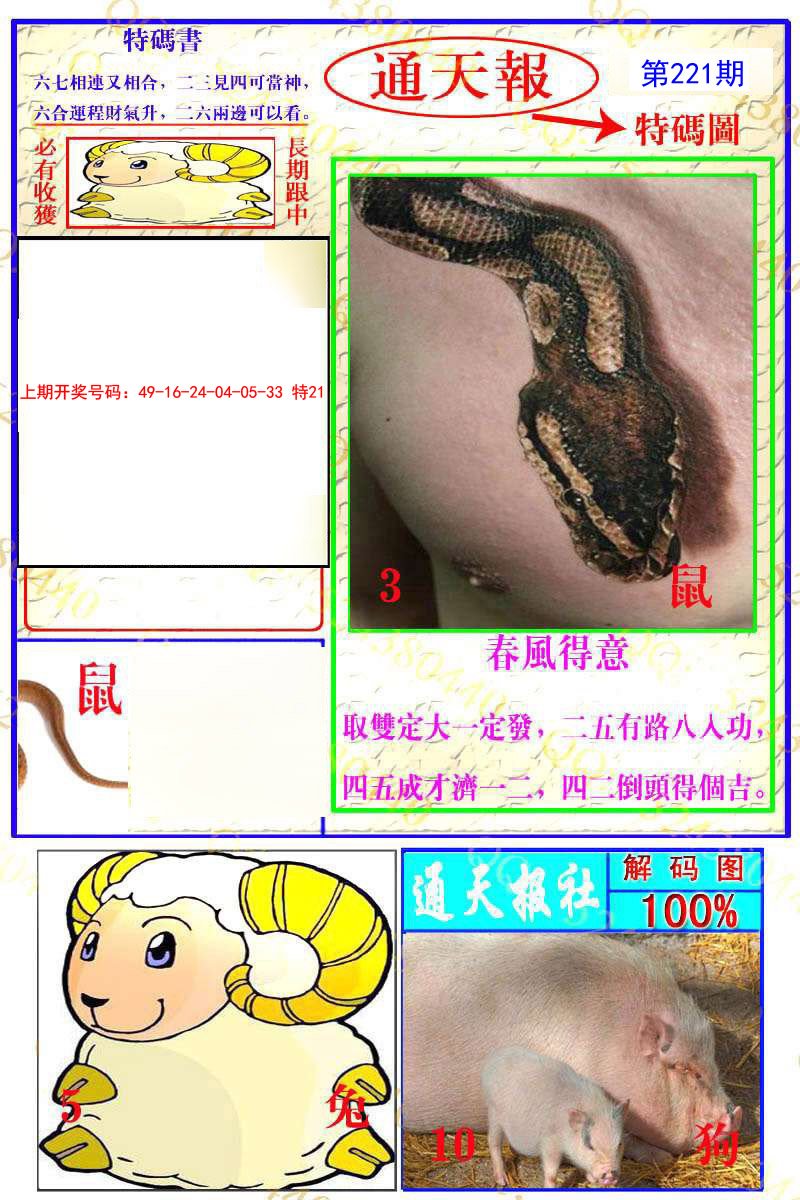 2024221期通天特解图