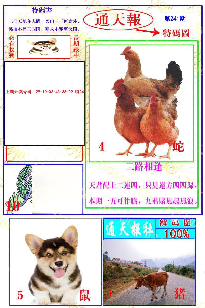 2024241期通天特解图